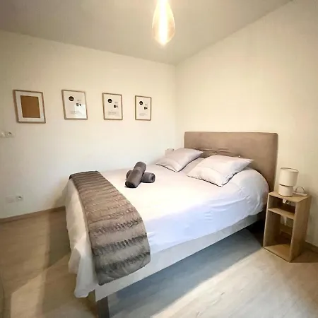 Apartment T2 Cosy Avec Parking - Goupama Stadium Ldlc Arena *